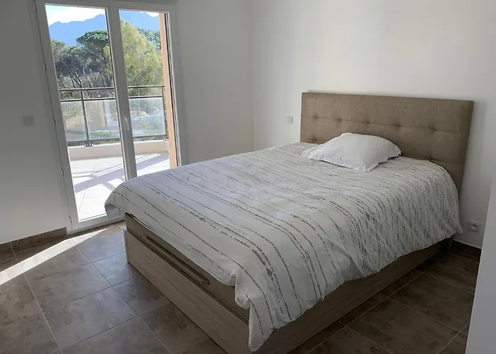 T2 Neuf Bord De - Terrasse - Calvi (Corsica)